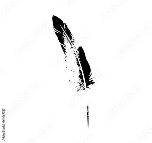 Vector Elegant feather and quill in monochrome.