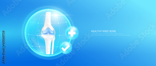 Healthy knee bone within bubble dome transparent with check mark and plus sign on blue background. Strong leg cartilage joint anatomy. Medical health care concept. 3D Vector EPS10.