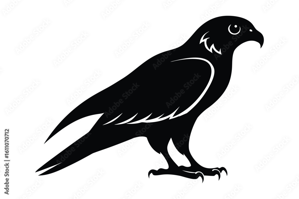 falcon--black-illustration-silhouette-vector