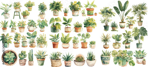 potted plant watercolor clipart