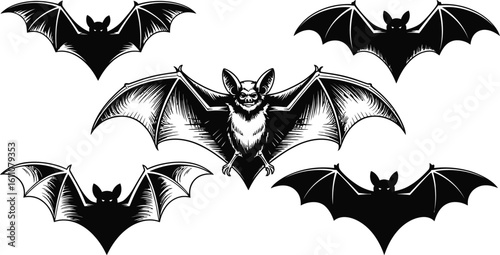 Flying bats nocturnal creatures wings