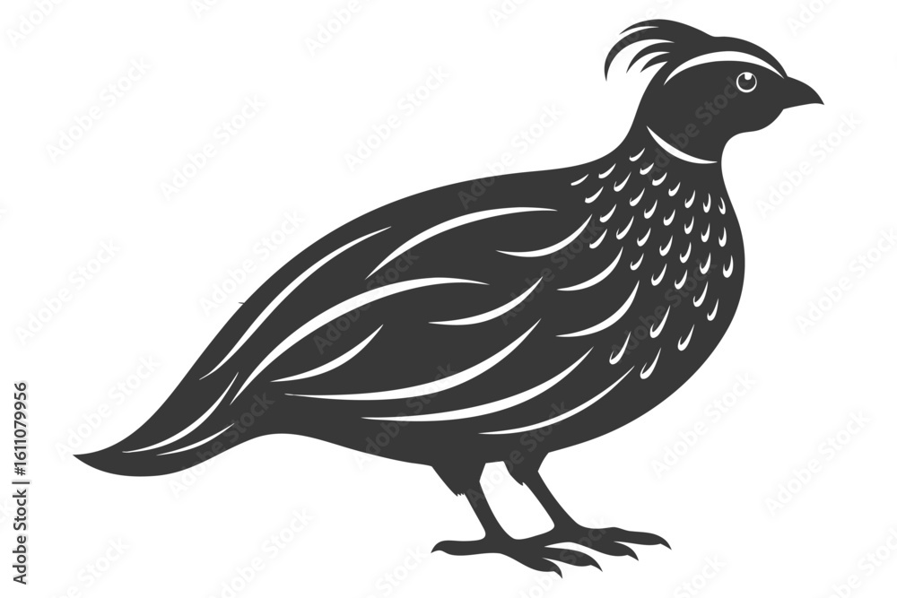 Fototapeta premium vector illustration of a rooster