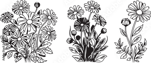 Hand-drawn Daisy Flower Bouquets
