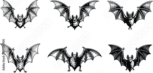 Six black bats with spread wings white