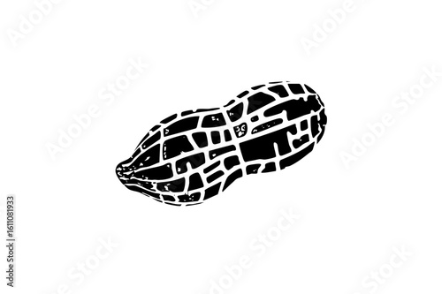 Vector Detailed black and white of a peanut .