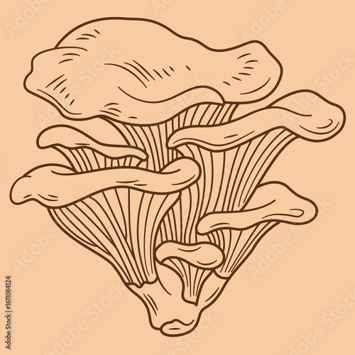 Chanterelles mushrooms fungi icons set vector on beige background. Nature fresh, plant autumn, organic vegetable mushroom food fungi brown contour illustrations