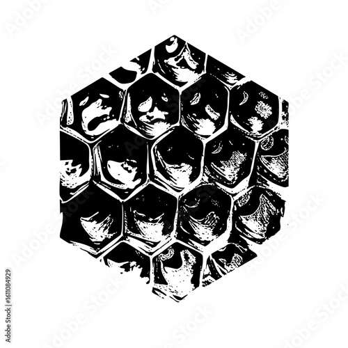 Vector Honeycomb portrait reveals a contemplative face within geometric structure.