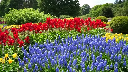 Flowerbed with blue, red, and yellow flowers beneath green trees and bushes
