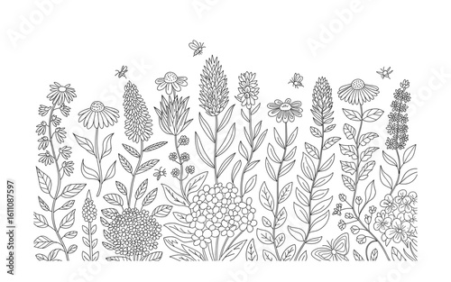 Wildflower Meadow Line Art: Coloring Page with Flowers and Bees for Relaxation and Creativity for All Ages for Spring Time Season