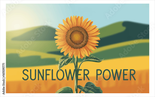 Vibrant sunflower bloom against rolling hills and golden fields yellow orange