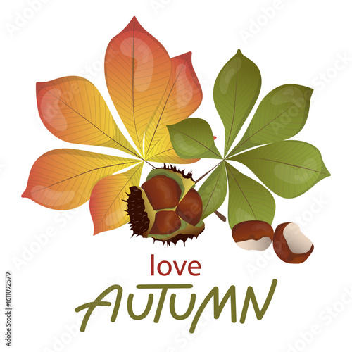 Autumn-themed vector illustration showcasing vibrant chestnut leaves and chestnuts. The design highlights the rich colors of fall, conveying the beauty and essence of the season