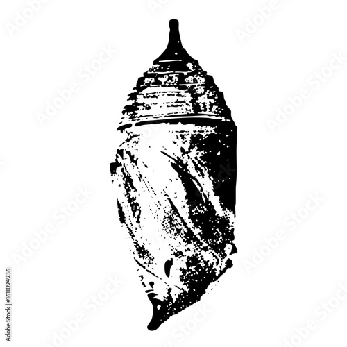Vector Detailed of a textured seashell with a pointed spire.