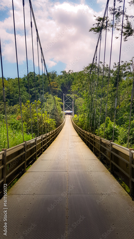 Obraz premium A long suspension bridge stretches into lush green forest under a partly cloudy sky, creating a scenic and peaceful pathway through nature.