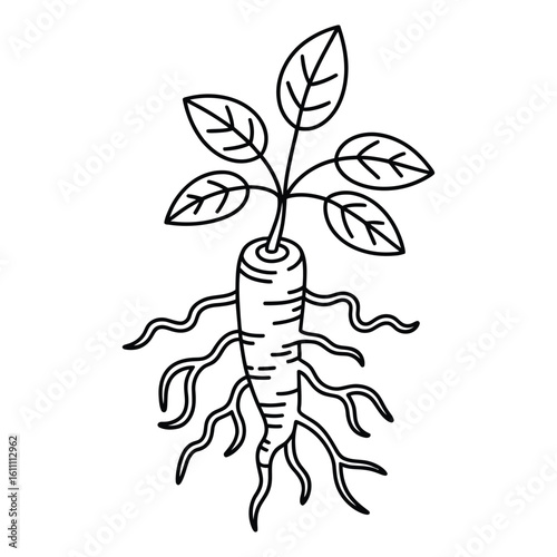 Ashwagandha Icon, Vector, Illustration, Icon, Outline, Line Art, Silhouette, Logo, White Background.