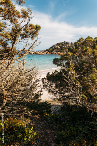 Amazing pink sand beach in Budelli Island, Maddalena Archipelago, Sardinia