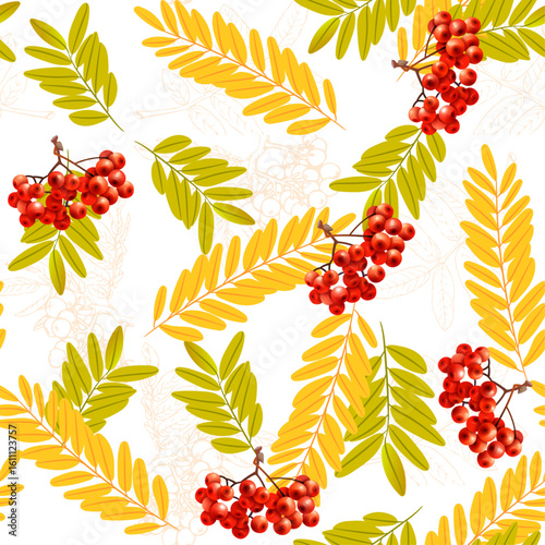 seamless pattern of beautiful bright red round rowan berries and yellow green leaves on a transparent background.ai