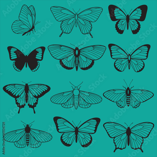 Black silhouette butterflies and moths set on white background vector.

