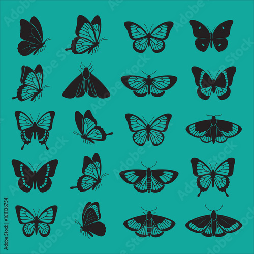 Black silhouette butterflies and moths set on white background vector.

