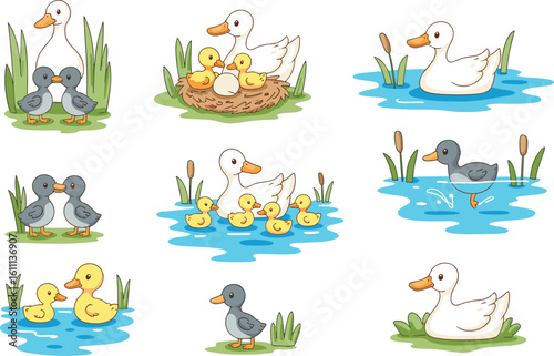 Cute duck family illustration, baby ducks in pond, mother duck with ducklings, cartoon waterfowl nature scene, wildlife clipart for kids, children’s animal design