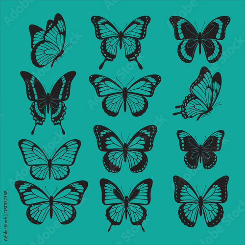 Black silhouette butterflies and moths set on white background vector.

