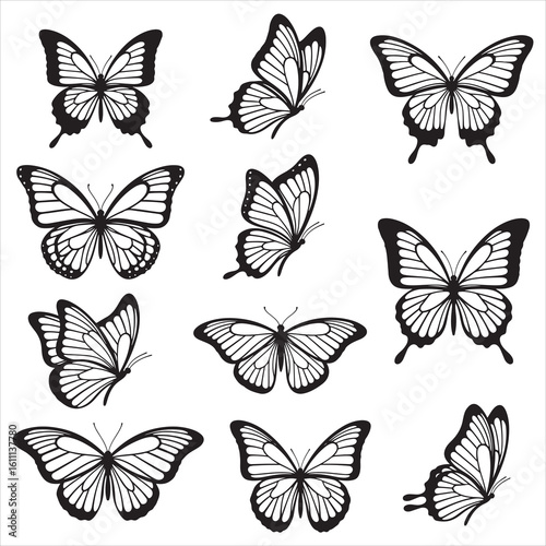 Black silhouette butterflies and moths set on white background vector.

