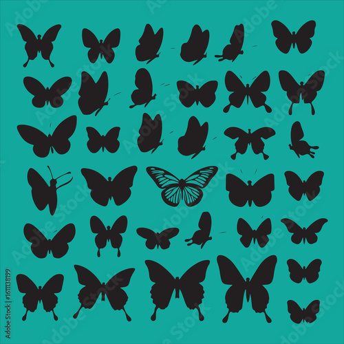 Black silhouette butterflies and moths set on white background vector.

