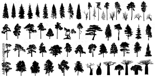 Big set of tree silhouettes. Trees of different natural zones, vector illustration.