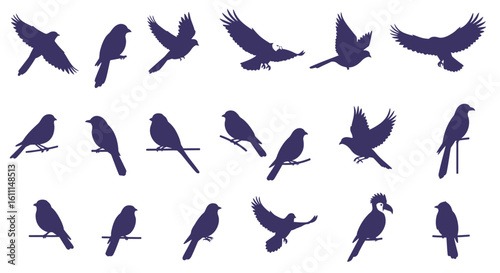 ector Set of Flying and Sitting Bird Silhouettes – Minimalist Style