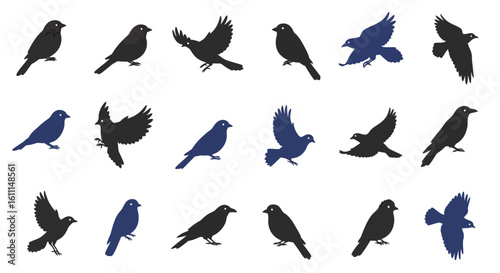 ector Set of Flying and Sitting Bird Silhouettes – Minimalist Style