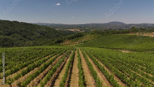 Aerial footage of vineyards at hills