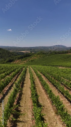 Aerial footage of vineyards at hills