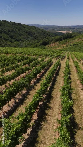 Aerial footage of vineyards at hills