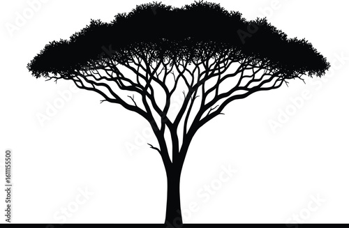 Striking acacia tree silhouette with expansive canopy and intricate branches, perfect for African safari, nature, and minimalist design themes.