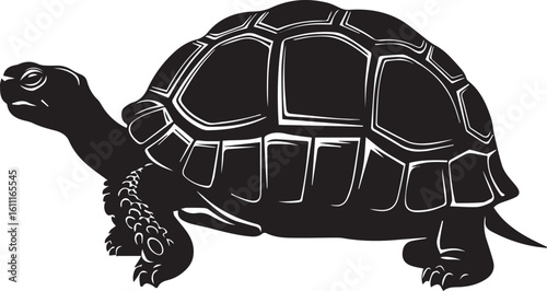 tortoise silhouette vector illustration
