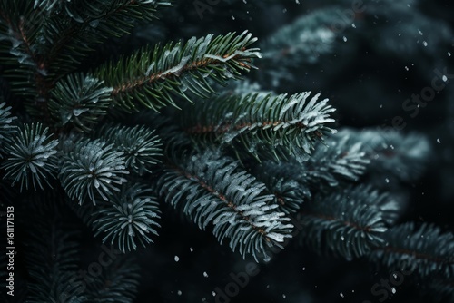 Close up of snow falling on pine tree branches, creating a magical winter scene