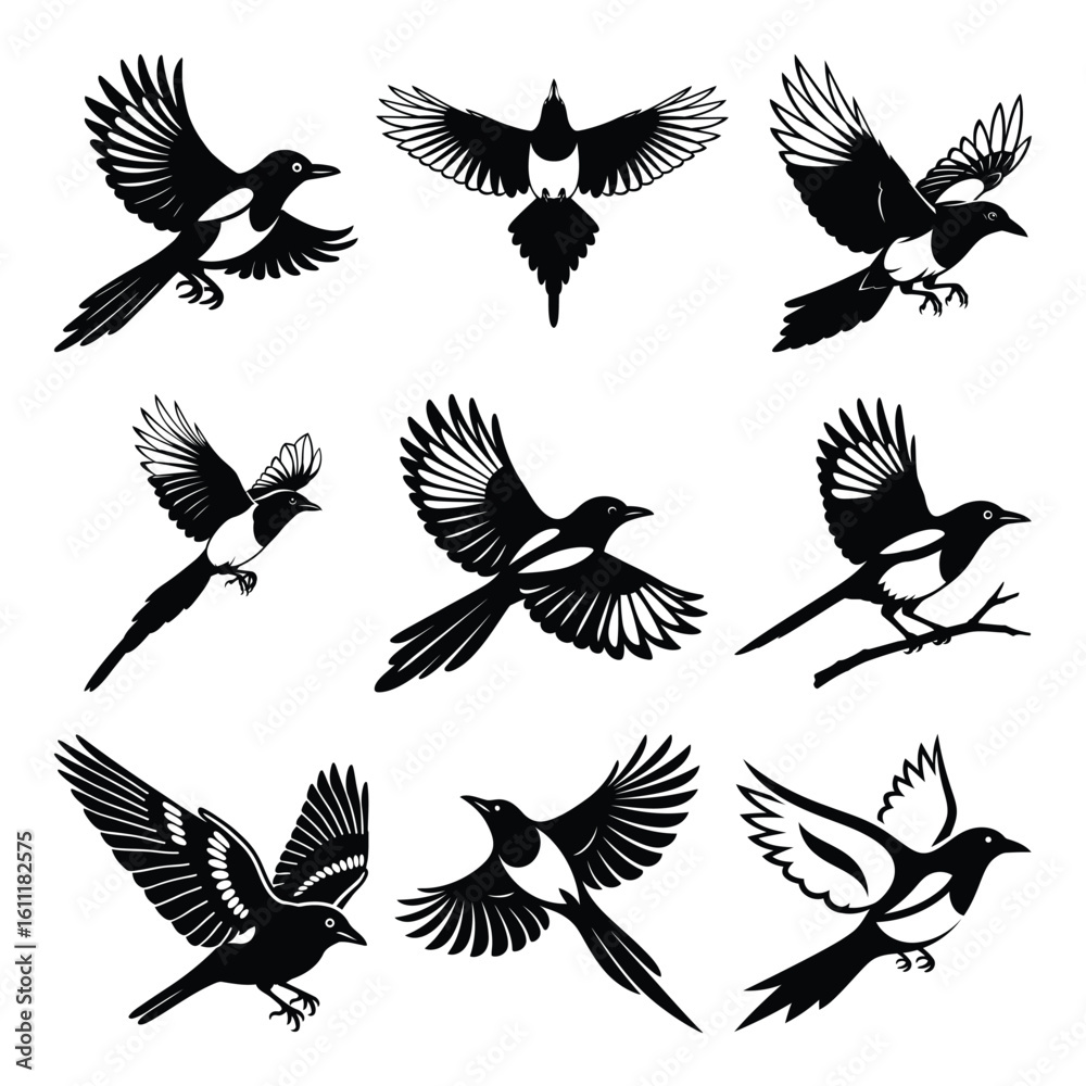 Obraz premium Flying Magpie Bird Silhouette Collection – Elegant Black and White Vector Illustrations in Various Flight Poses