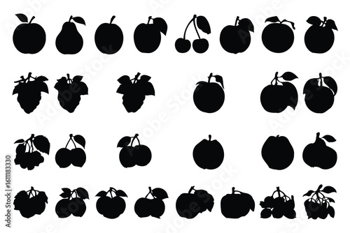 Assorted Fruit Artwork with Cross Sections in Bright Realistic Styles