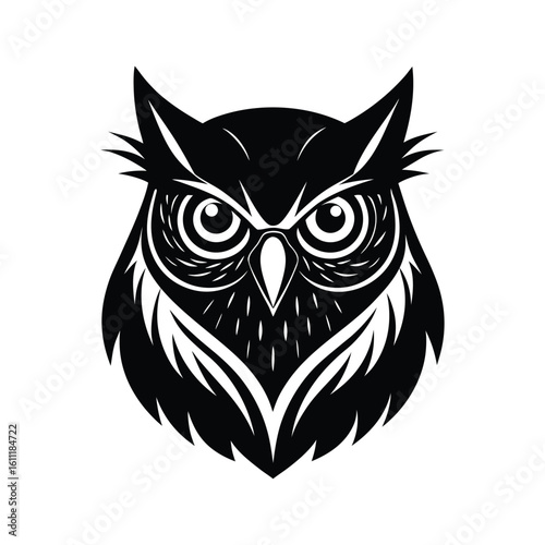 owl on white background