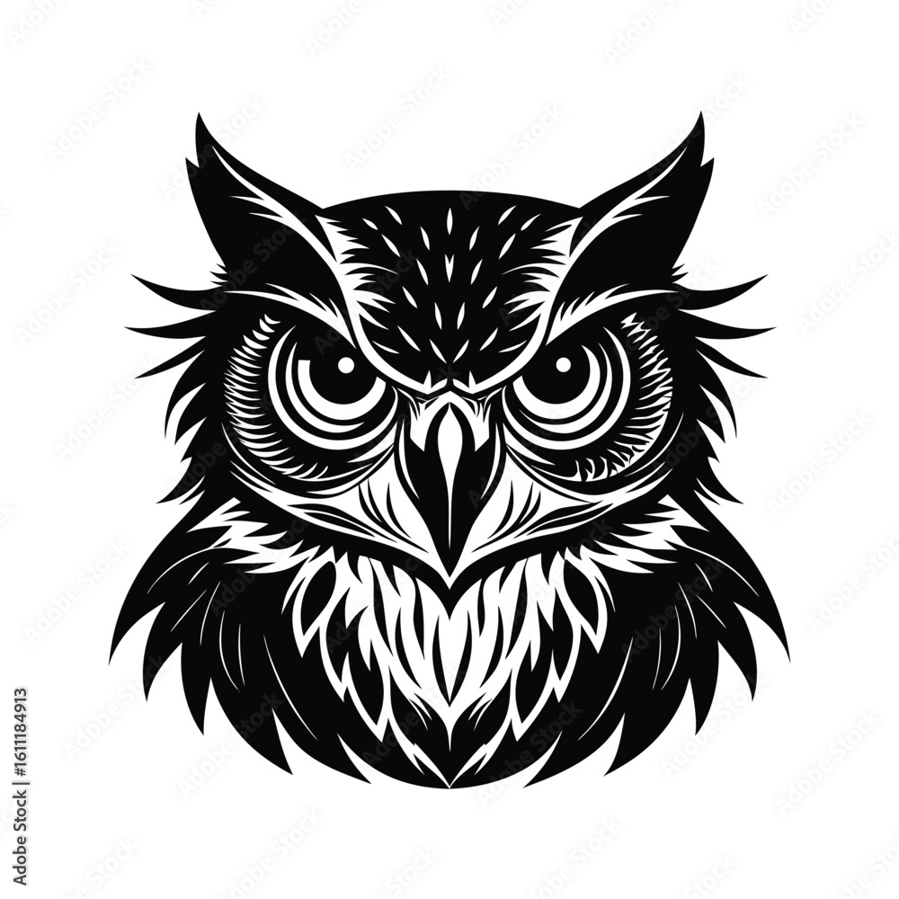 Fototapeta premium owl on white background