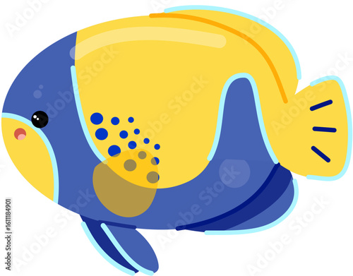 Majestic angelfish 