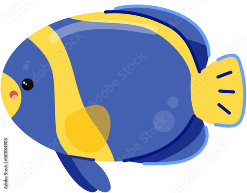 Scribbled angelfish 
