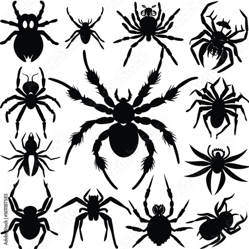 Silhouette Spider Set Trio Isolated on White Background