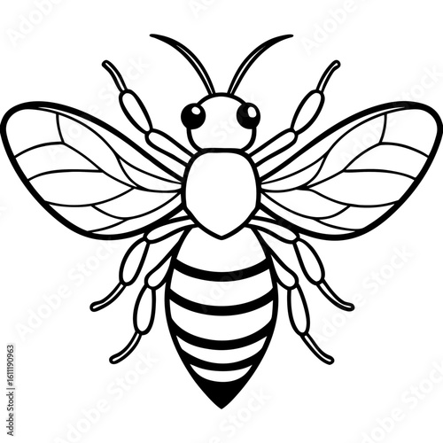 Honey Bee Outline Vector Design