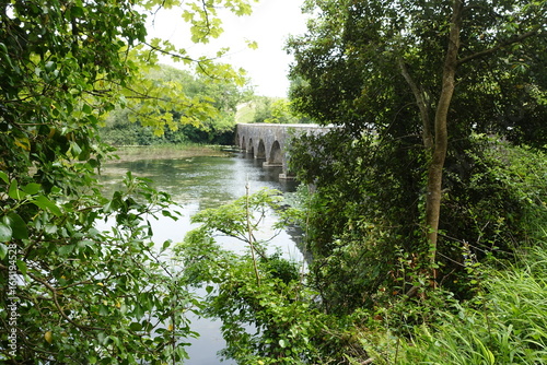 Bosherston Lily Ponds Stackpole Bridge