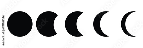 Moon Lunar Phases Vector Set Complete Lunar Cycle Icons on White Background