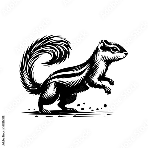 Chipmunk with bushy tail illustration