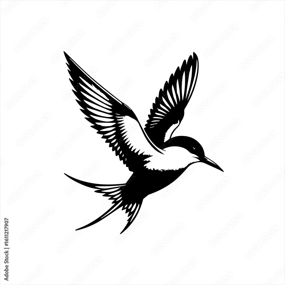 Obraz premium A swallow in flight