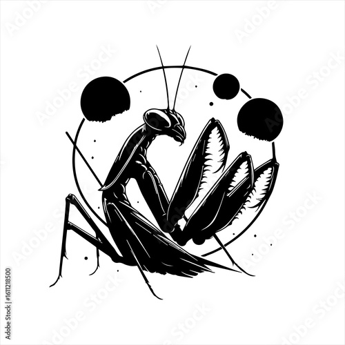 Mantis illustration isolated on white