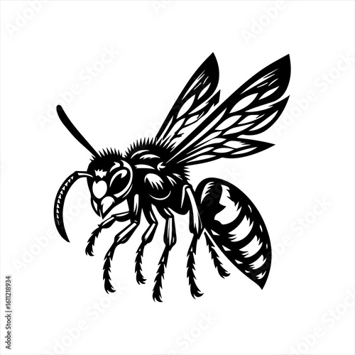 Wasp insect illustration
