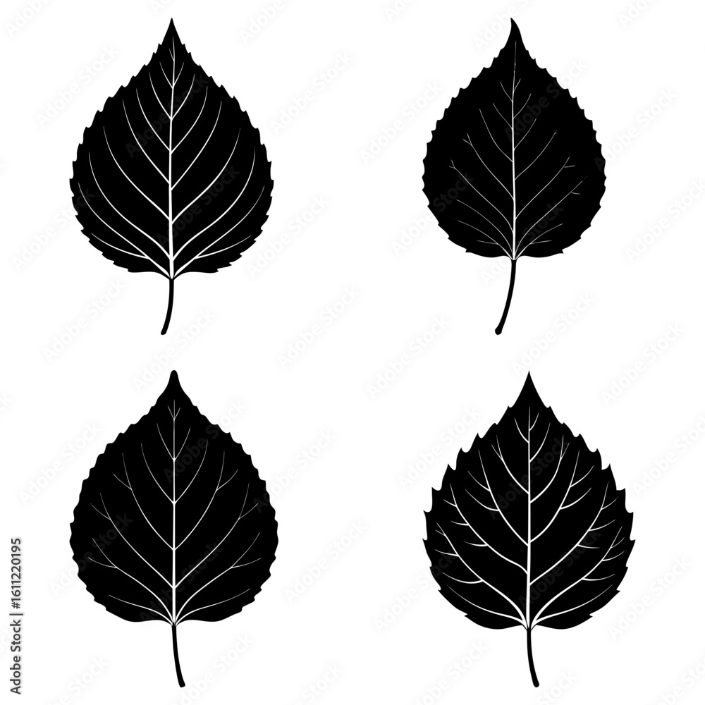 Fototapeta premium Four black leaf illustrations with detailed veins arranged in a square pattern on white background
